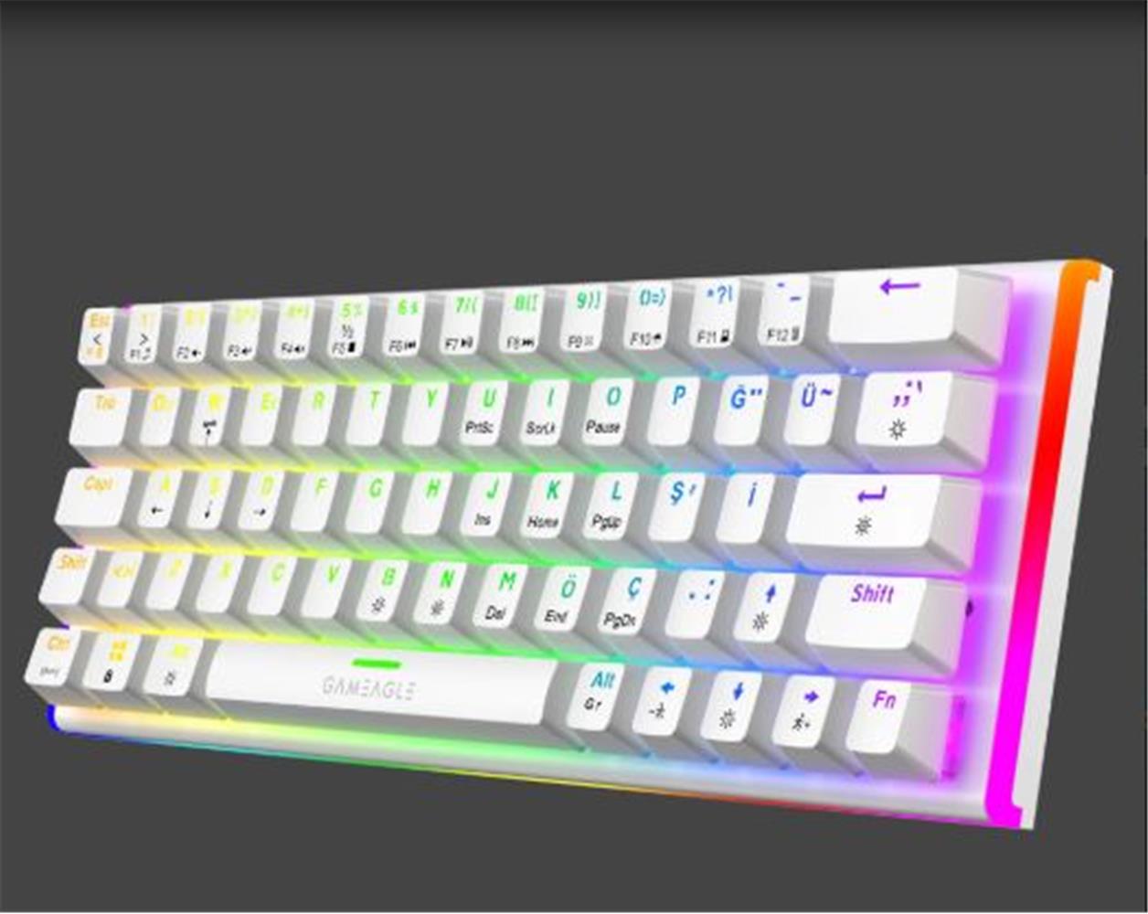 Gameagle GE2026 Caladrıa RGB Kablolu TR Layout Mekanik Beyaz Oyuncu Klavyesi 