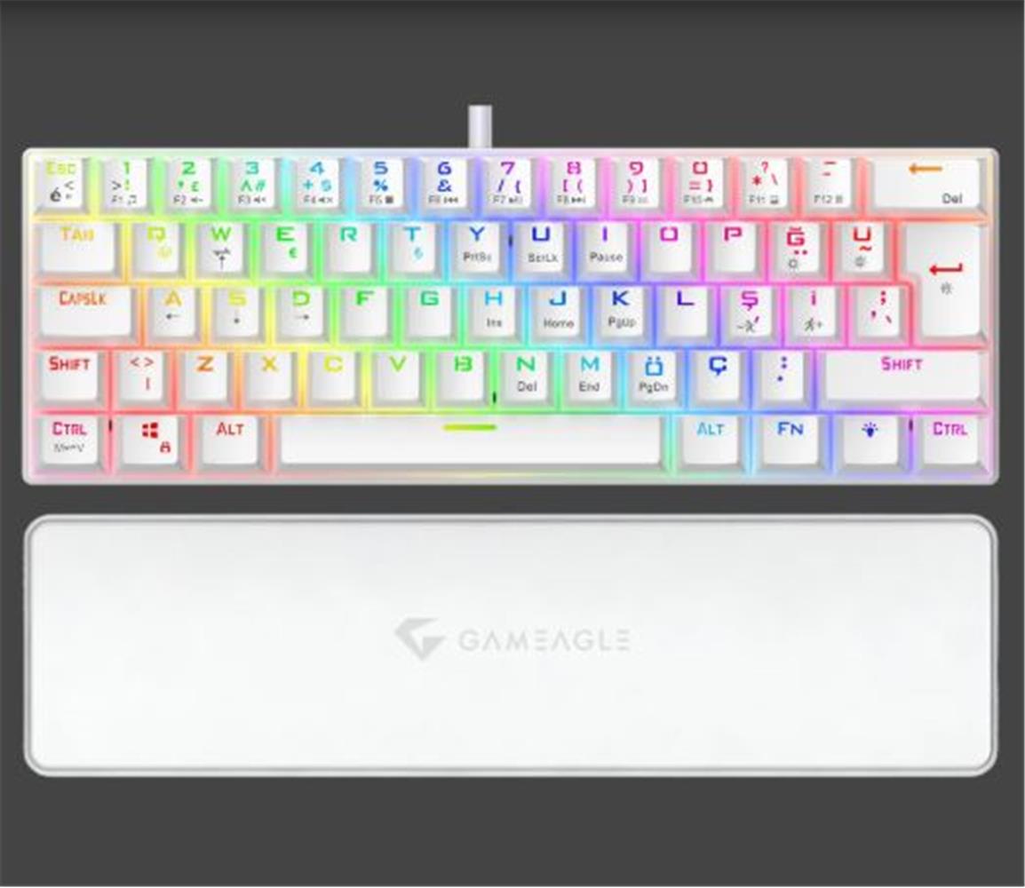 Gameagle GE2021 Helıos RGB Kablolu Tr Layout Mekanik Siyah Oyuncu Klavyesi 