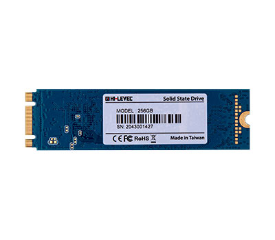 HI-LEVEL 256 GB M.2 SATA SSD 550/530 (HLV-M2SSD2280/256G)