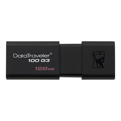 256 GB USB3.0 KINGSTON DT 100 G3 (DT100G3/256GB)