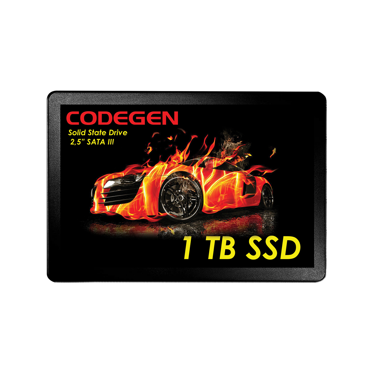 CODEGEN 1 TB 2.5" SATA3 SSD 500/450 (CDG-1TB-SSD25)