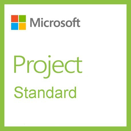 MS PROJECT STANDARD 2021 TUR-ENG ESD LISANS (076-05905)