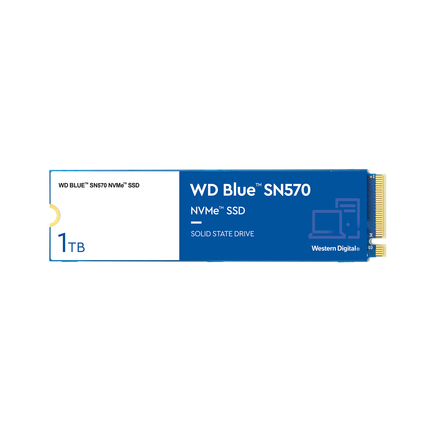 WD BLUE SN570 1 TB NVME SSD 3500/3000 (WDS100T3B0C) 