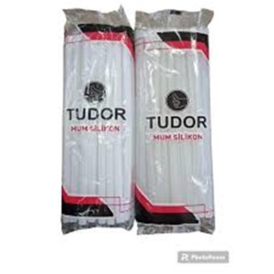 Tudor Mum Silikon Tabancası 20W ASR-G09-01